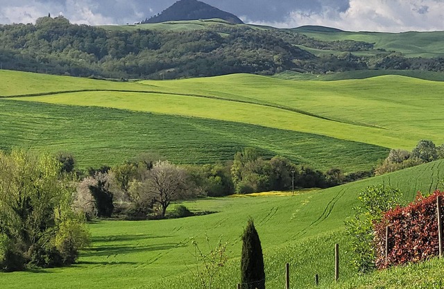 Ideal place to unwind, pet friendly, Weekly stay