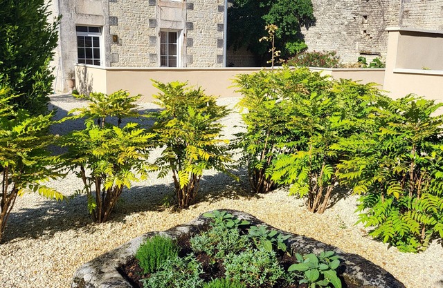 Idyllic and charming 4-bedroom country manor house in peaceful Charente village.