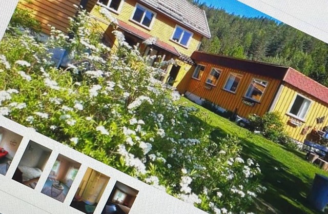 Impeccable 4-Bed House in Drangedal