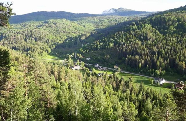 Impeccable 4-bed House in Drangedal