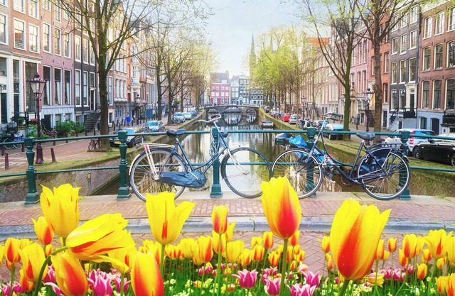 In the tree lined streets of Amsterdam-A stones throw from Vondelpark