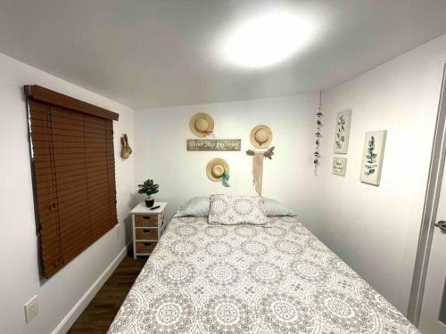 Independent Studio in Little Havana