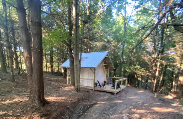 Indulge in our Forest Retreat