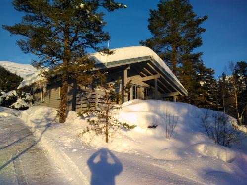 Jølsterlia Hyttetun