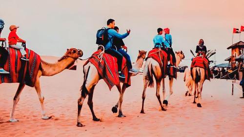 JAISALMER THAR DESERT TENTED CAMP & ReSORT