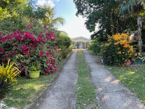 Jardin des Anges-Bungalows créoles et studio