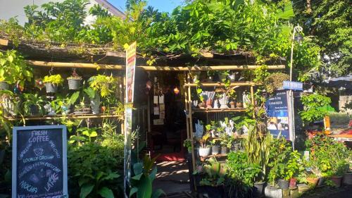 Jimmy and Jeng Homestay