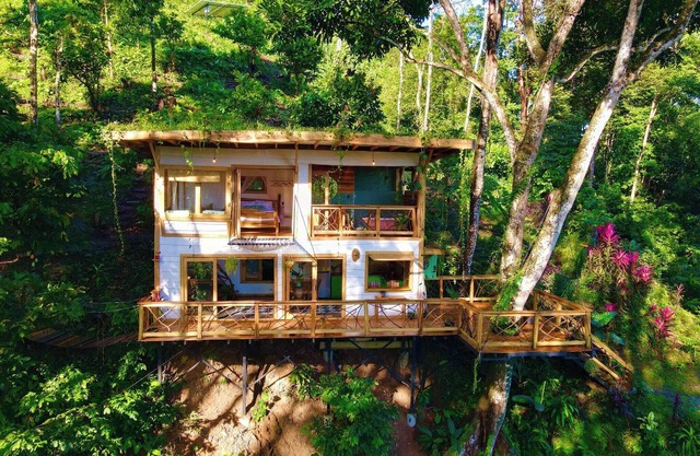 Jungle Spirit Treehouse