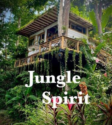 Jungle Spirit Treehouse