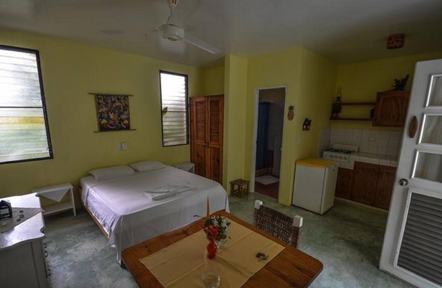 Jungle studio with kitchenette