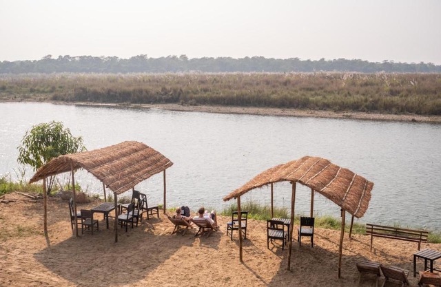 Jungle Wildlife Camp