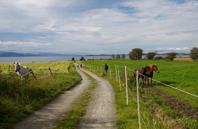 Kårstua - Austrått Agroturisme