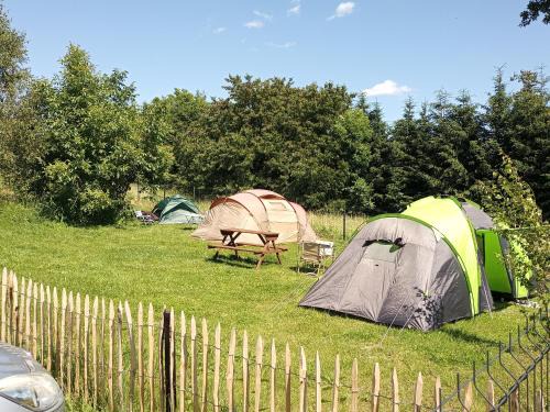 Kameralne pole namiotowe, ZABIERZ SWÓJ NAMIOT, blisko Świeradów i zamek Czocha