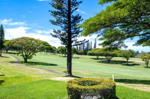 KBM Resorts 8-Bedroom Kapalua Golf Collection Multi Unit Listing Same Enclave Golf Course Views 4 Free Rental Cars KGV-14P3P6V3T6