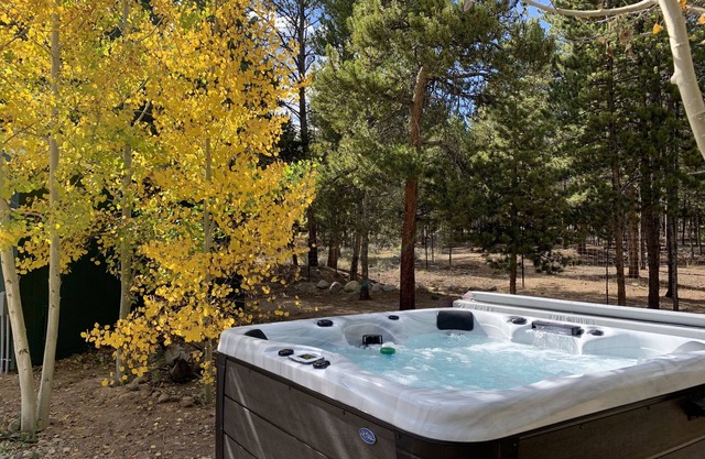 King Bed - Mt Elbert Base Camp - Private Hot Tub