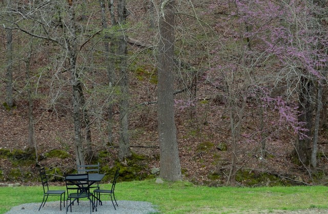 King Guest Room located at the Joplin Inn at the entrance to Mountain Harbor, just 2 1/2 miles from Lake Ouachita. by RedAwning