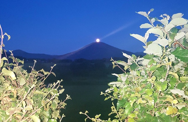 Kjørsvik Øvre, flat in farmhouse with panoramic view to the sea and mountains.