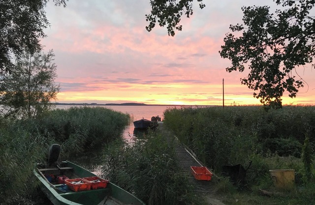 Kleine Ferienhütte am Achterwasser