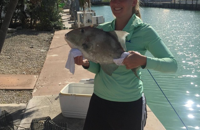 Knee Deep in the Water Somewhere.