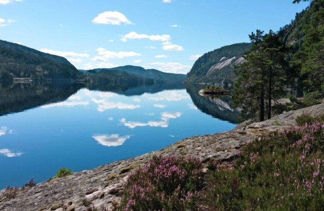 Knutebu by Interhome