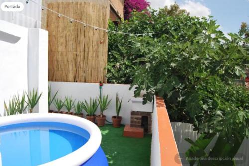 Ku SUPER-TERRAZA - PISCINA