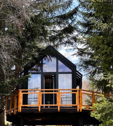 Kuća na drvetu - Zlatar Hill - Treehouse