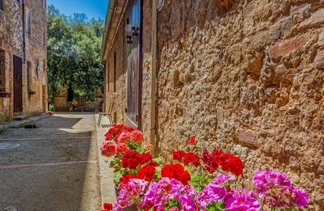 L'Erika by Interhome