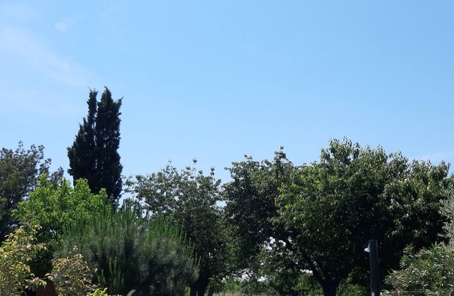 L'Oustalet a Carbonne Small house for 2 people with swimming pool and garden.