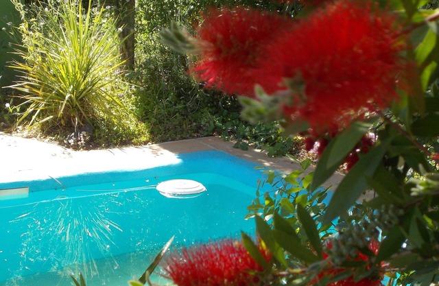 La Carpa.Bigtop in a woodland setting