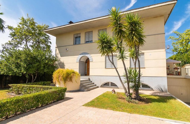 La casa del olivo en Córdoba