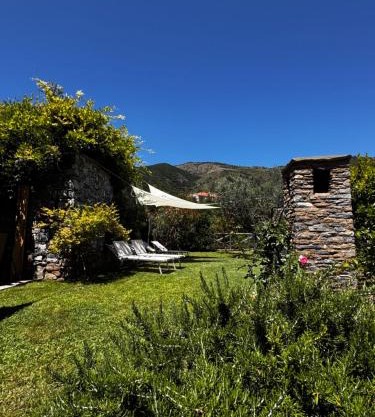 La Casa negli Ulivi - con vista Mare