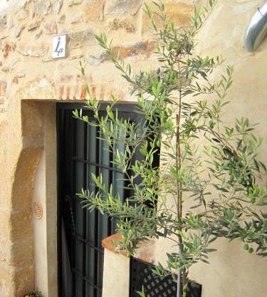 La Casina de Piedra ENCANTO - Parte Antigua de Cáceres