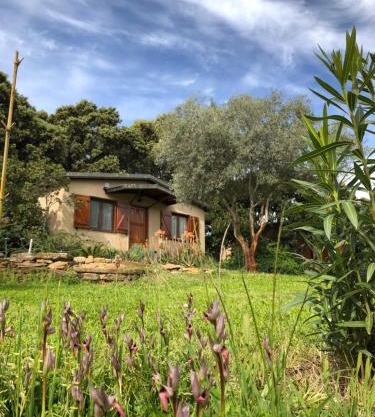 La Cerca Del Alcornoque