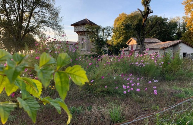 La Dépendance de Bazin
