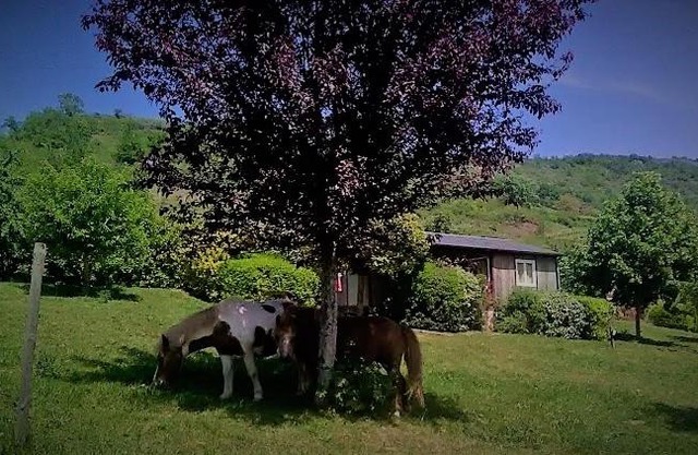 la Frégière Chalets