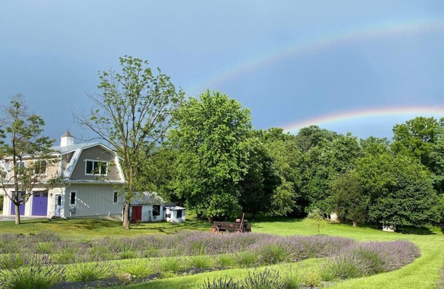 La Soledad Lavender Farm on the Potomac