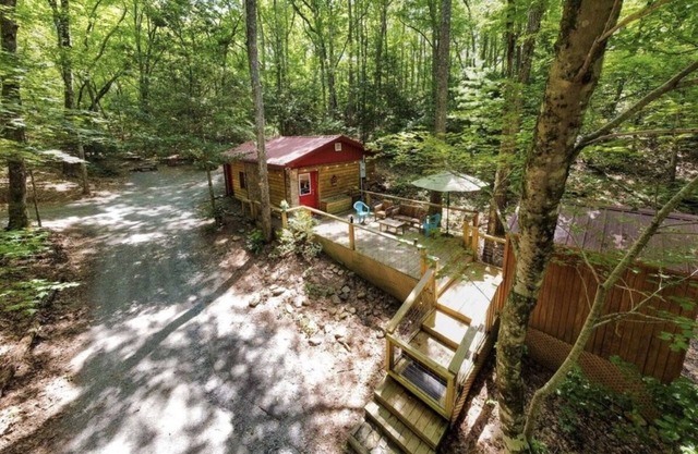 Ladybird's Lodge - dog friendly