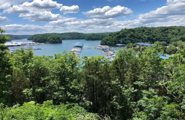 Lake View Home-Good for Big Group-Jamestown Marina