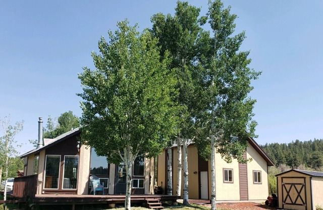 Lakefront Cottage backs up to Lake Pagosa, deck, firepit, 5min to town, Smart TV