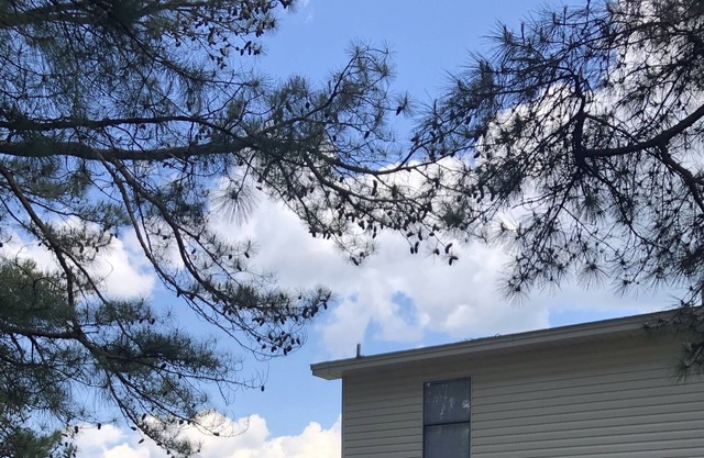 Lakefront Living at Shelby Shores