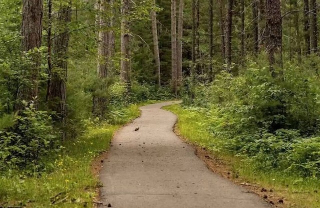 Lakeshore Cabin/Home sleeps 8, North MN Heaven