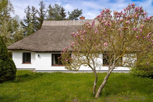 Landhaus Möhlend