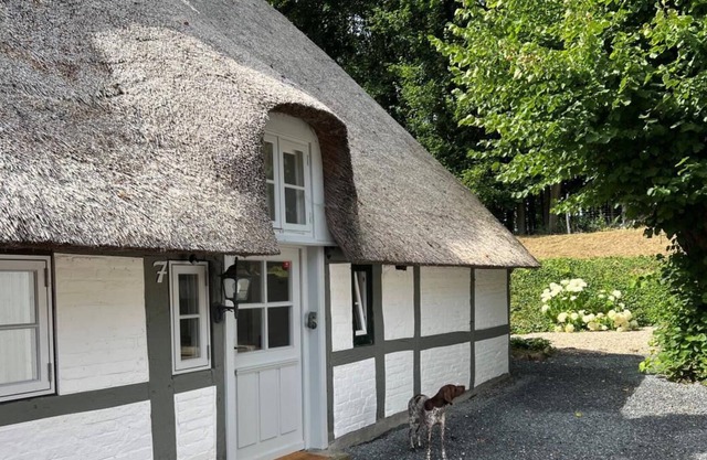 Landidyll Unter Reet in Schleinähe