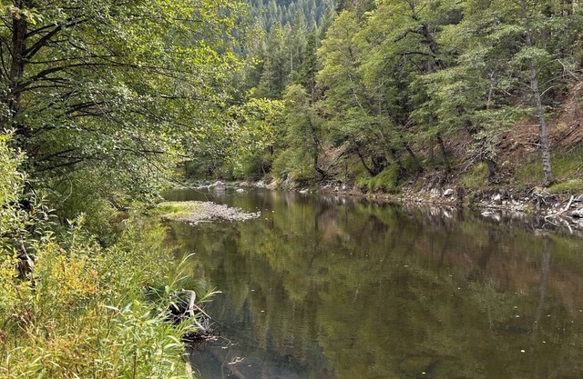 large House with Private Indian Creek Access 37 acres to roam freely