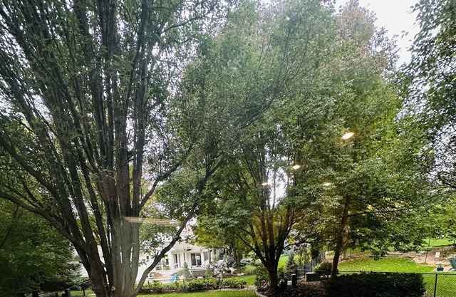 Large West O House on Golf Course - CWS