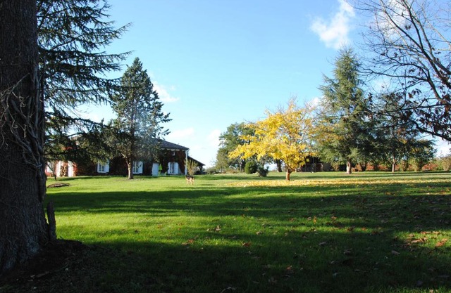 Le Château de Roquebère