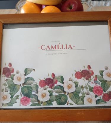 Le Clos des Romarins Gîte CAMELIA