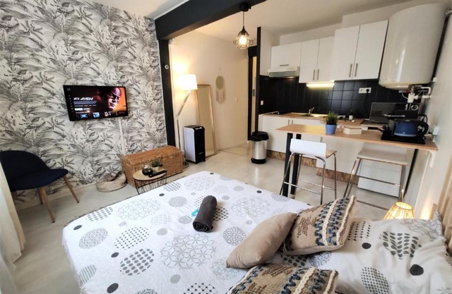 Le Jasmin des Carmes - Hypercentre - Netflix