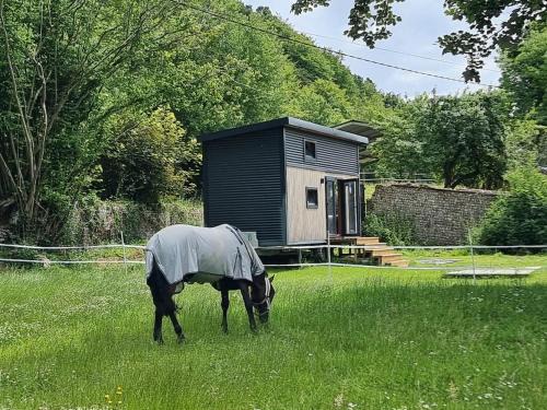 Le Petit Haras de Valmont