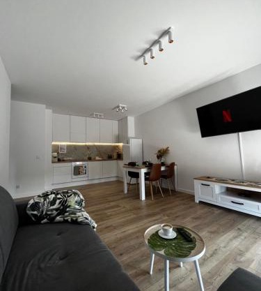 Leaf Apartament Łódź prywatne miejsce parkingowe